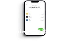 如何解决Tokenim启动过程中