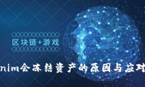 Tokenim会冻结资产的原因与应对策略