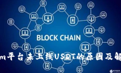 Tokenim平台未上线USDT的原因及解决方案