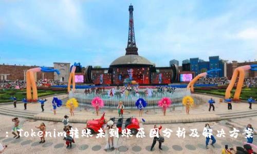 : Tokenim转账未到账原因分析及解决方案