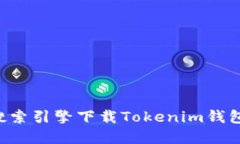 如何通过搜索引擎下载T