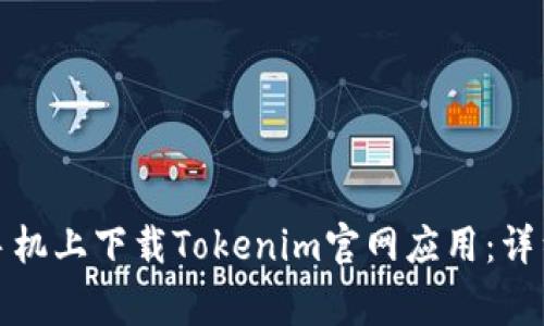 如何在大陆苹果手机上下载Tokenim官网应用：详细步骤与注意事项