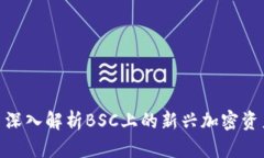TokenIM: 深入解析BSC上的新