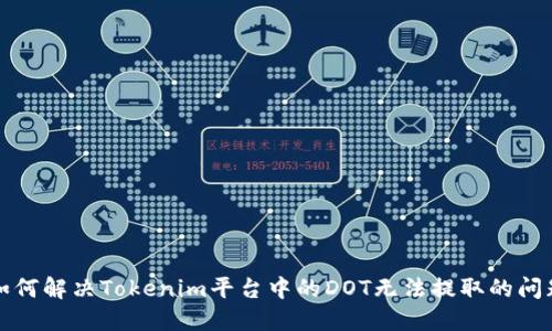 如何解决Tokenim平台中的DOT无法提取的问题