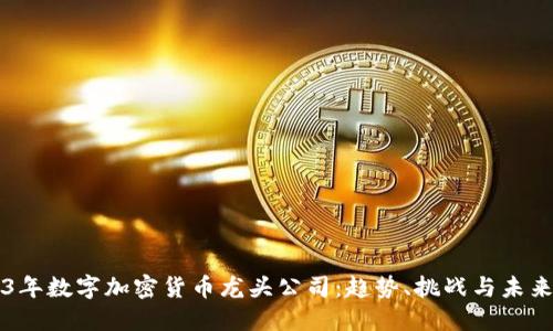 2023年数字加密货币龙头公司：趋势、挑战与未来展望