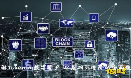 全面了解Tokenim数字资产：从基础到进阶的全面教学指南