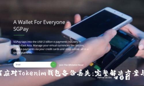 diaoti如何应对Tokenim钱包备份丢失：完整解决方案与预防措施