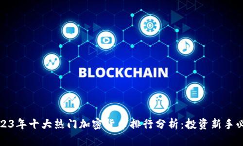2023年十大热门加密货币排行分析：投资新手必读