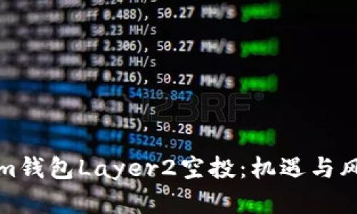 深入解析Tokenim钱包Layer2空投：机遇与风险并存的新时代