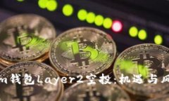 深入解析Tokenim钱包Layer2空