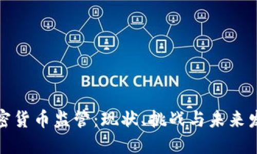 波兰加密货币监管：现状、挑战与未来发展趋势