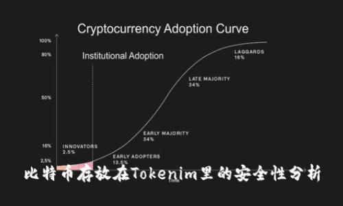 比特币存放在Tokenim里的安全性分析