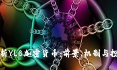 深入解析YLB加密货币：前