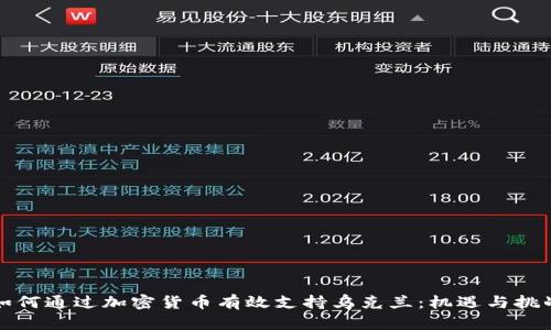 如何通过加密货币有效支持乌克兰：机遇与挑战