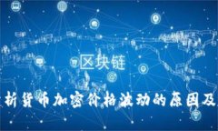 深入分析货币加密价格波