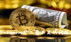 如何解决Tokenim矿工费不足