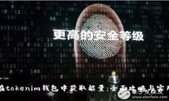 如何在tokenim钱包中获取能