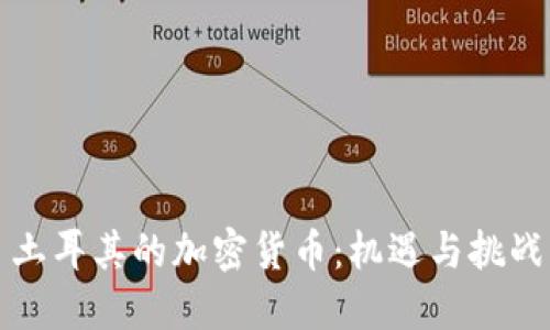 土耳其的加密货币：机遇与挑战