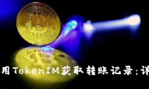 如何使用TokenIM获取转账记录：详尽指南
