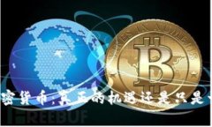 泰迪狗加密货币：真正的