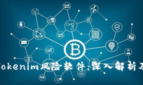 如何防范Tokenim风险软件：深入解析及防护措施