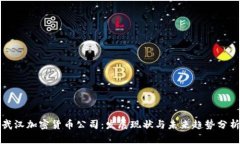 武汉加密货币公司：发展