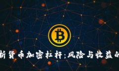 深入剖析货币加密杠杆：