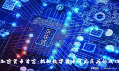 全球加密货币首富：揭秘