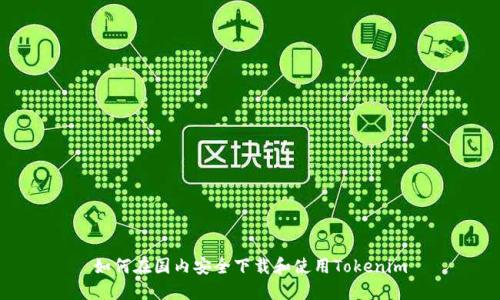 如何在国内安全下载和使用Tokenim