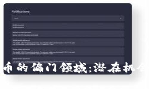 探寻加密货币的偏门领域：潜在机会与风险分析