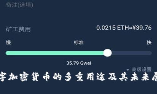 数字加密货币的多重用途及其未来展望
