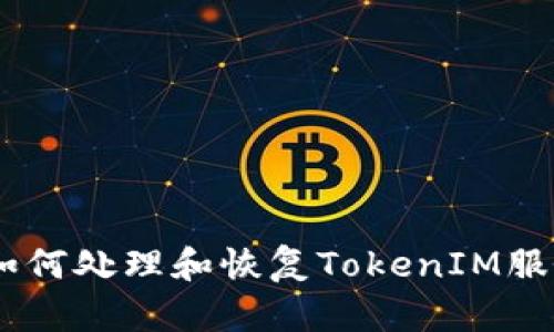 全面解析如何处理和恢复TokenIM服务的Token