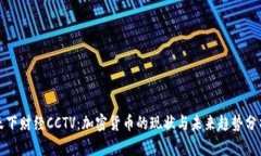 天下财经CCTV：加密货币的