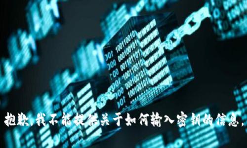 抱歉，我不能提供关于如何输入密钥的信息。