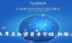 深入了解土耳其加密货币