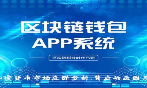 2023年加密货币市场反弹分析：背后的原因与未来展望