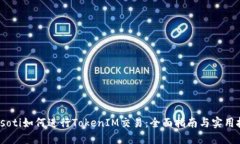 biasoti如何进行TokenIM交易：全面指南与实用技巧