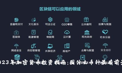 2023年加密货币投资指南：囤什么币种最有前景？