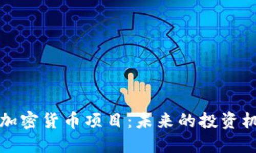 深入探讨加密货币项目：未来的投资机遇与挑战
