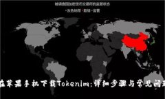 如何在苹果手机下载Tokenim：详细步骤与常见问题